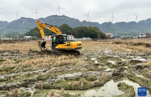 新春“开门红” 多重部署为消费复苏添信心