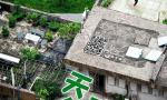 天台上的春天：方寸之地 别样生活